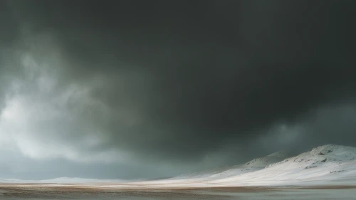 Icelandic Bloom