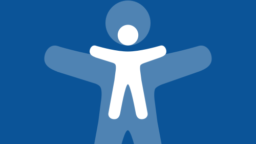 Accessibility Widget Goes Live