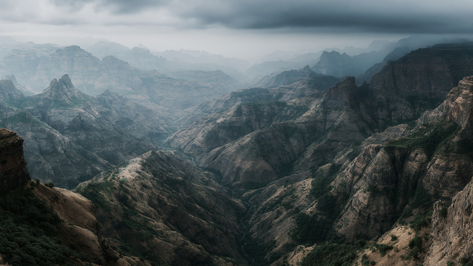 Desert Rain