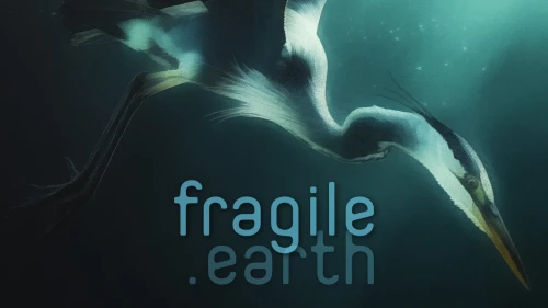 Fragile Earth