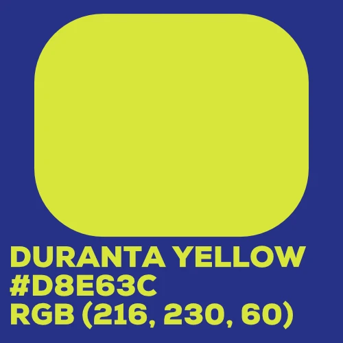 Duranta Yellow