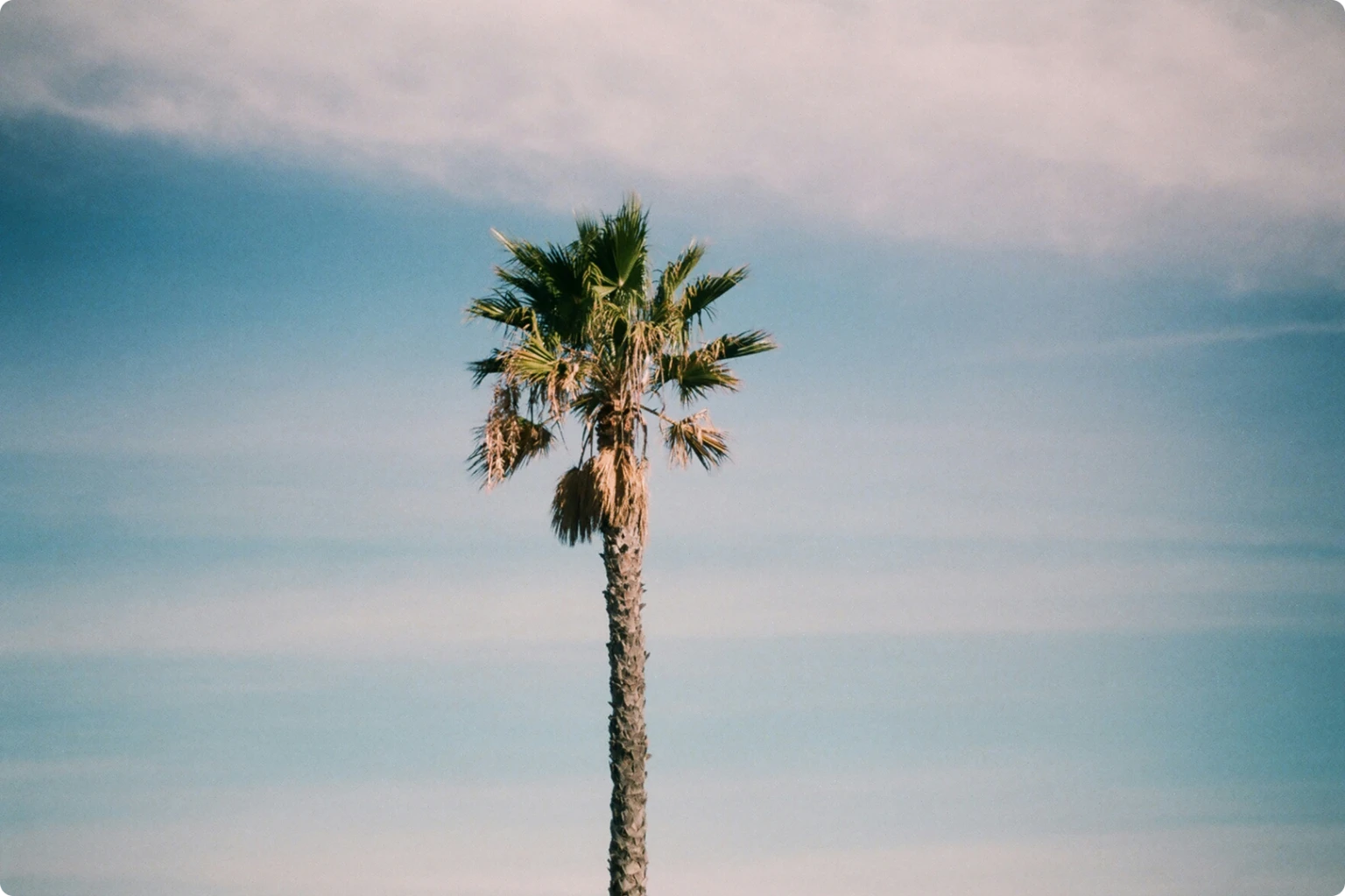Blog-Article--77-1.png