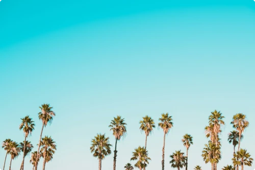 Fewer Tickets This Summer? Here’s How to Make Your Support Smarter While It’s Quiet