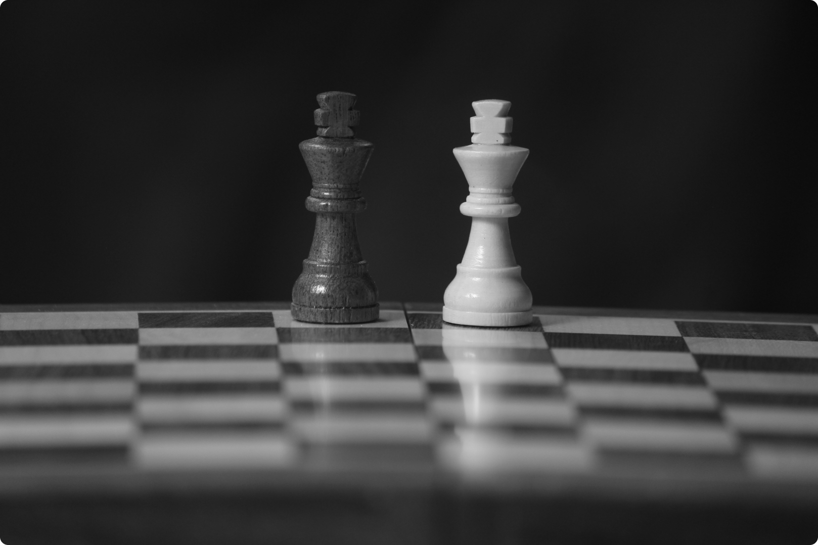 Customer Support vs Customer Service – What Are the Differences?