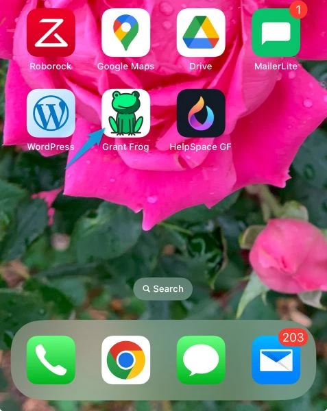 grantfrog_phoneappicon.jpg